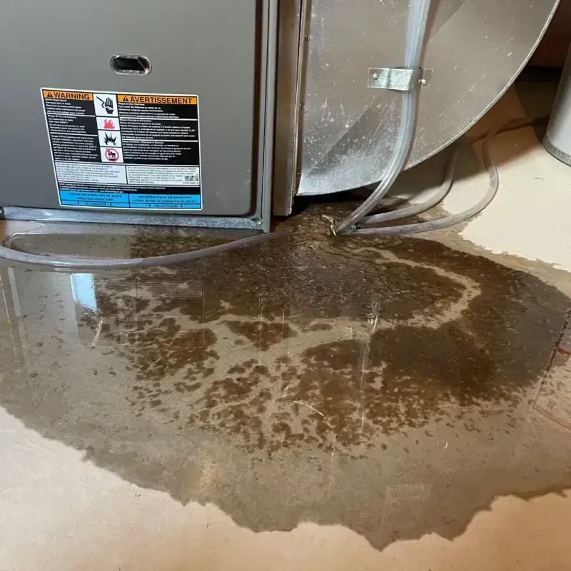 Appliance Leak Cleanup in Lake Fenton, MI